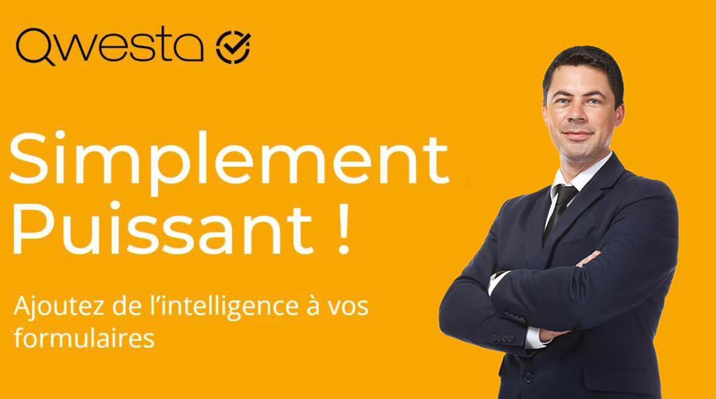 Modèle de questionnaire : Analyse des capacités à financer ...