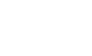 logo blanc - bdo